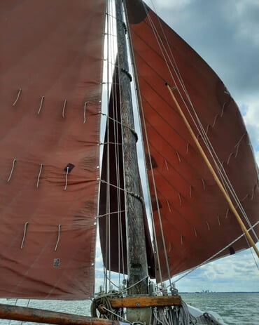 Fock und Kl&uuml;ver im Galopp