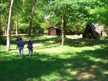 Wald rund ums Haus